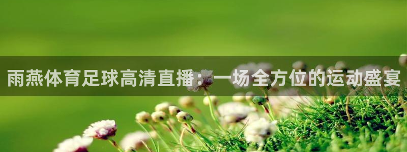 雨燕体育足球高清直播：一场全方位的运动盛宴