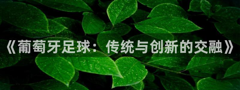 《葡萄牙足球：传统与创新的交融》